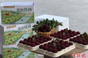 占卜抽签高速赋能产业升级：一条“杨梅路”的致富密码